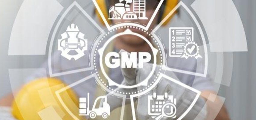 GMP Registration