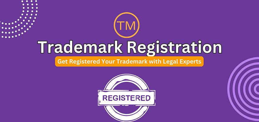 Expert Trademark Application Services